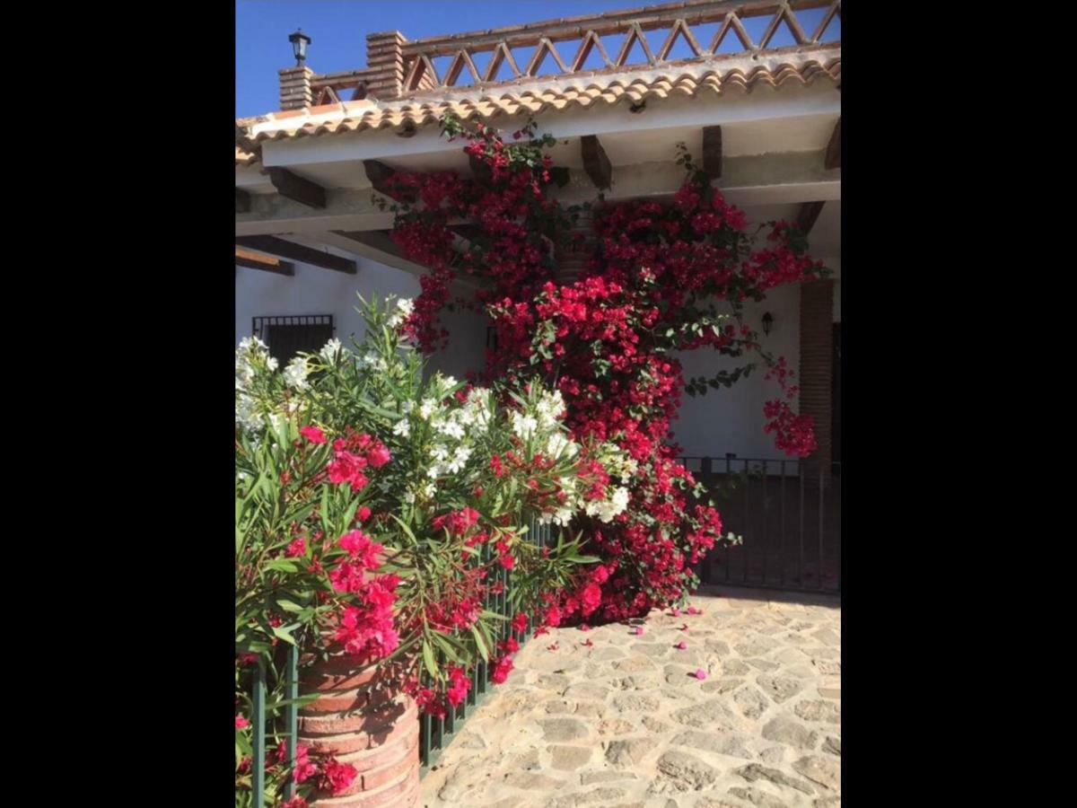 Villa Zahar Periana エクステリア 写真