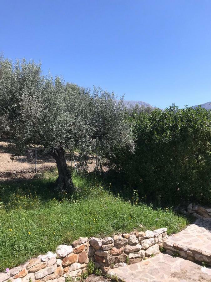 Villa Zahar Periana エクステリア 写真